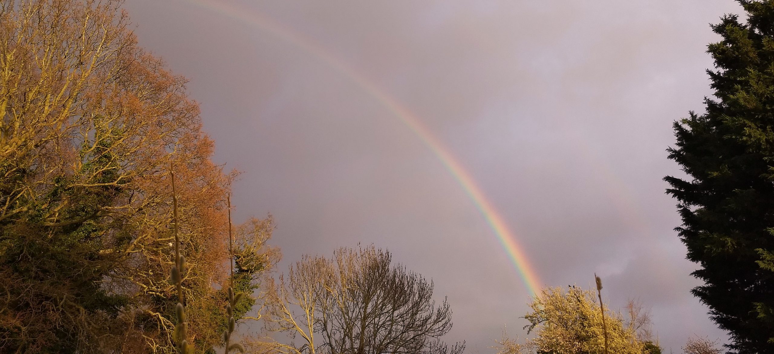 100 walks and photos in Summerhill’s neighbourhood