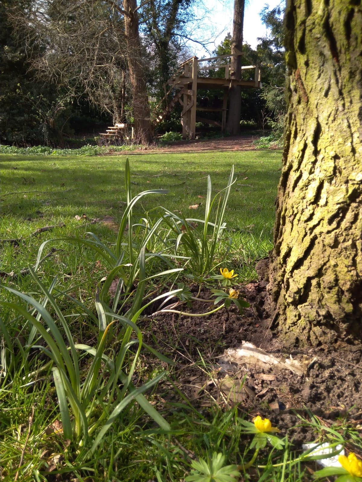 Summerhill in bloom 2021